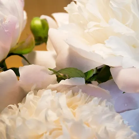 Sonnplatzl Appartamento Westendorf