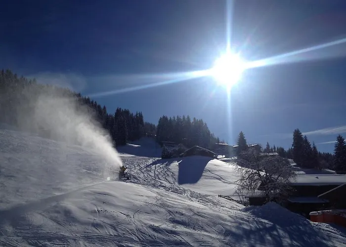 Sonnplatzl Appartement *