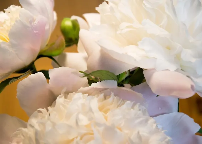 Sonnplatzl Appartement Westendorf